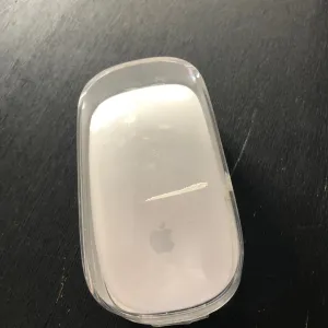 The Tragic Mouse