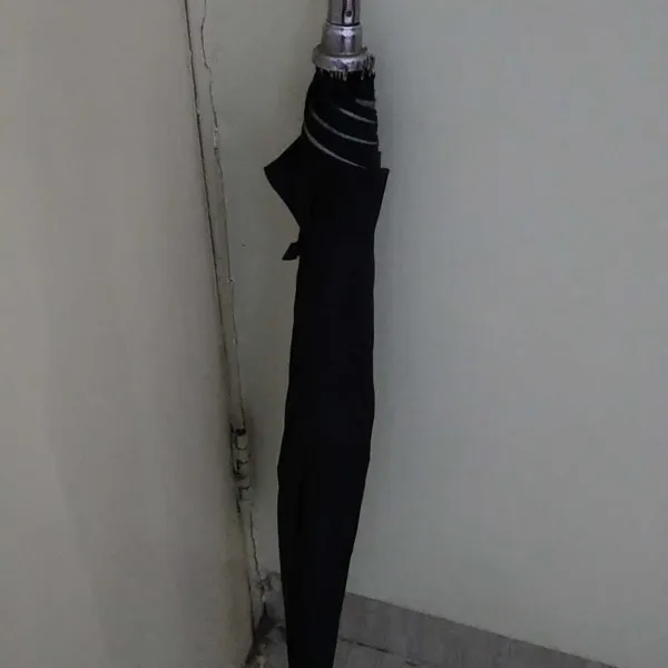 Umbrella hooks