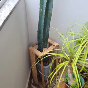 Vaso-suporte