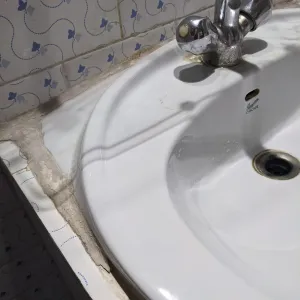 Wash basin