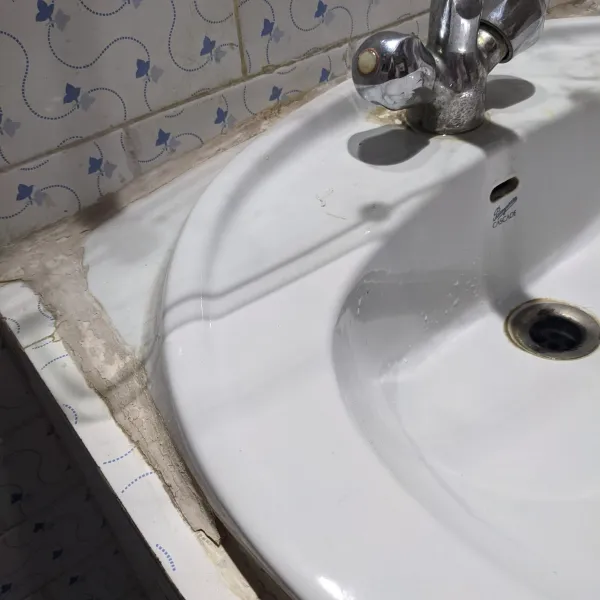 Wash basin